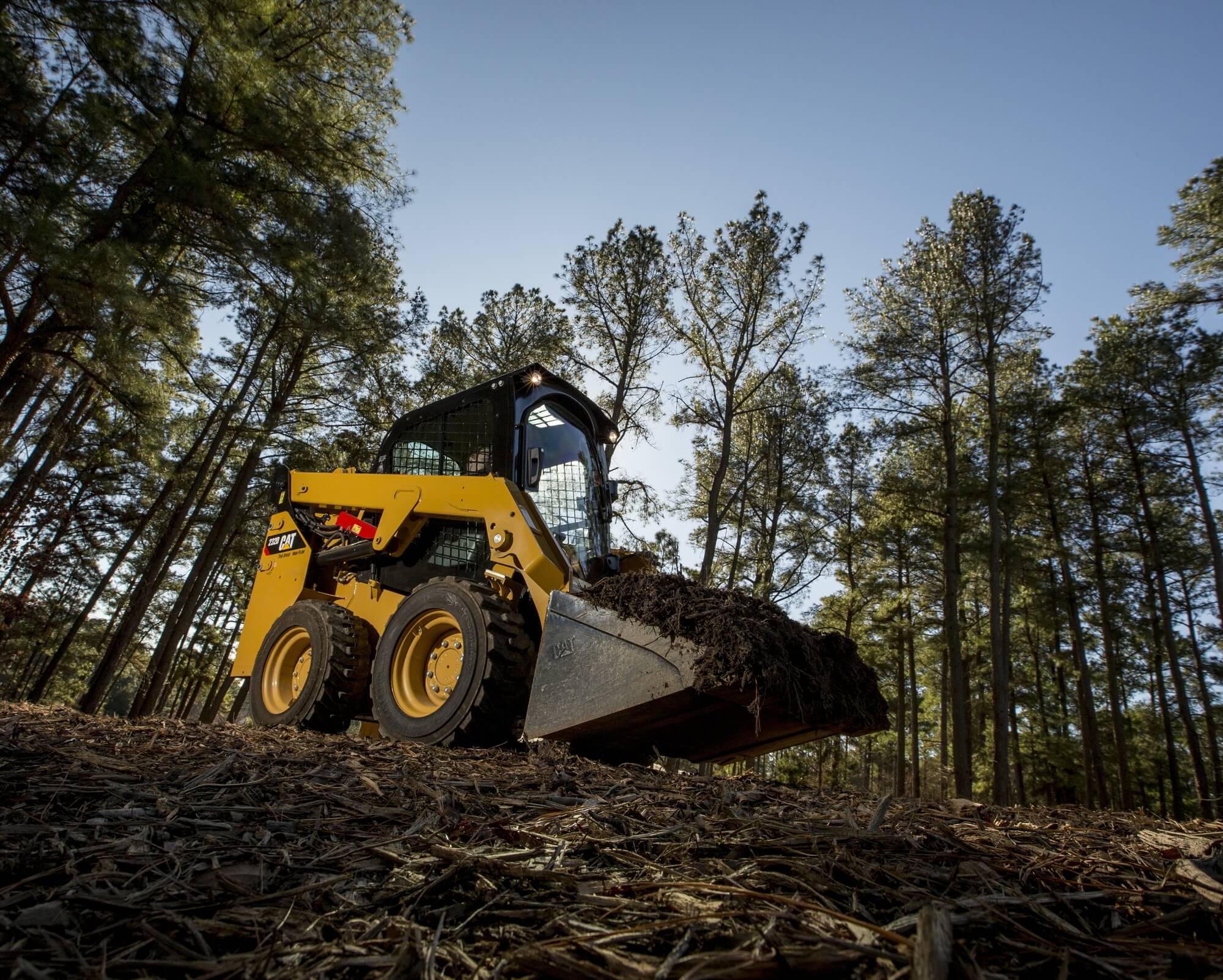 Cat Skid Steer Loader in use for Forestry work